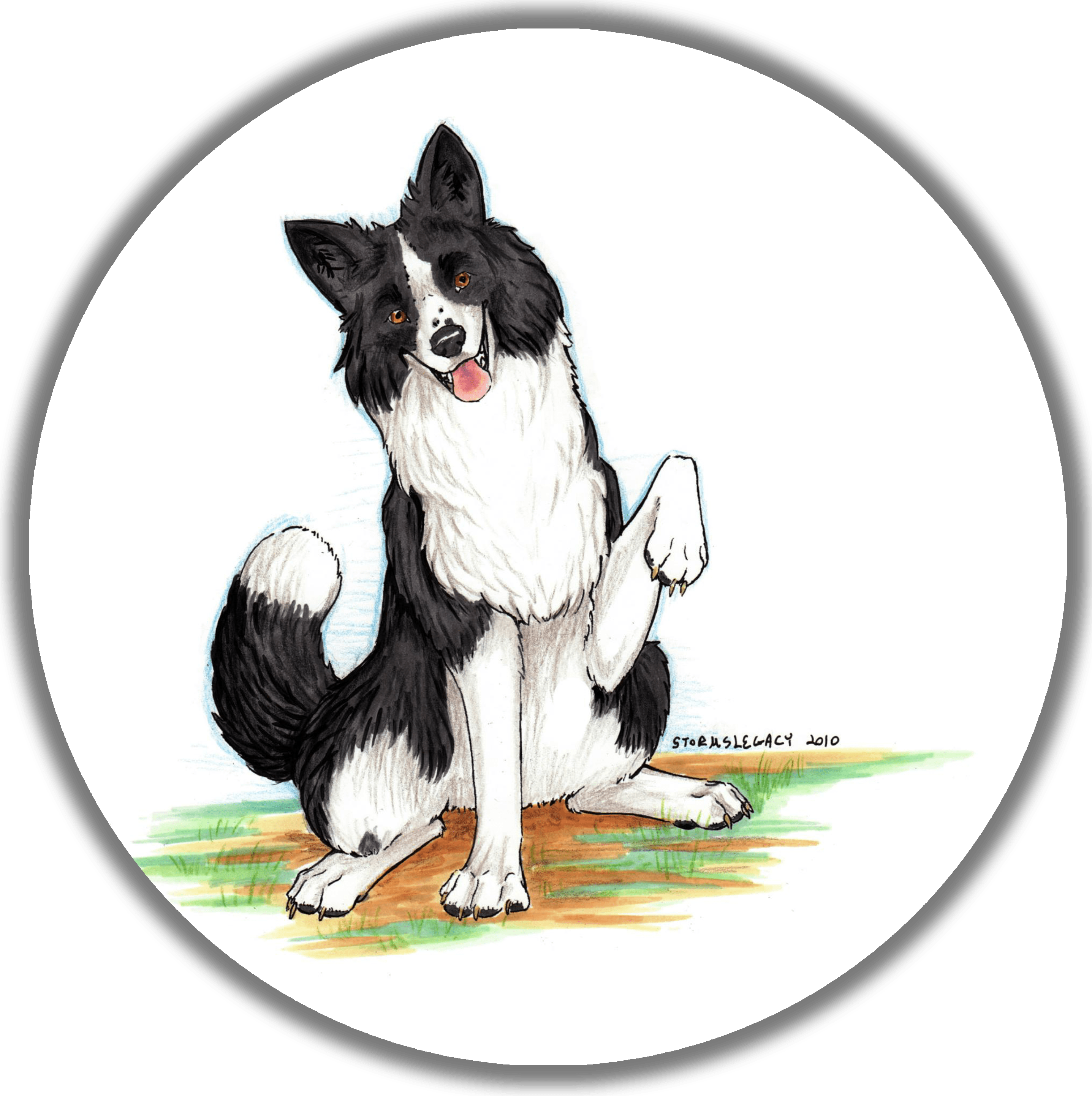 Leftpaw Pet Sitting 